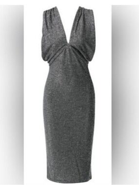 NWT WALTER BAKER | Jolie Dress Silver Sz S